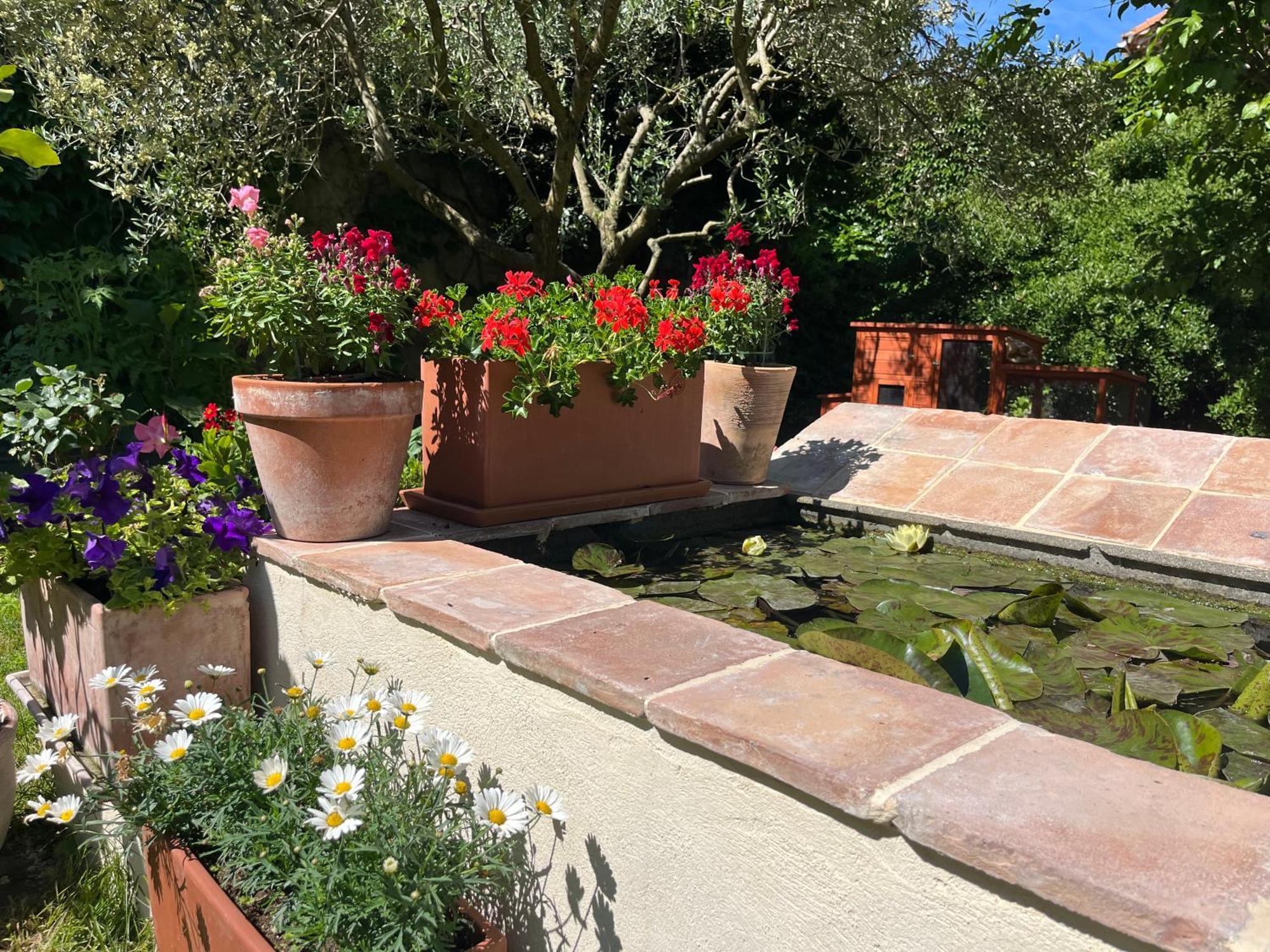 Maison En Provence Lapalud المظهر الخارجي الصورة
